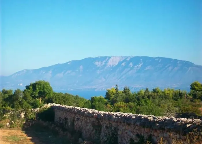 فيلة Andreas-dimitris
